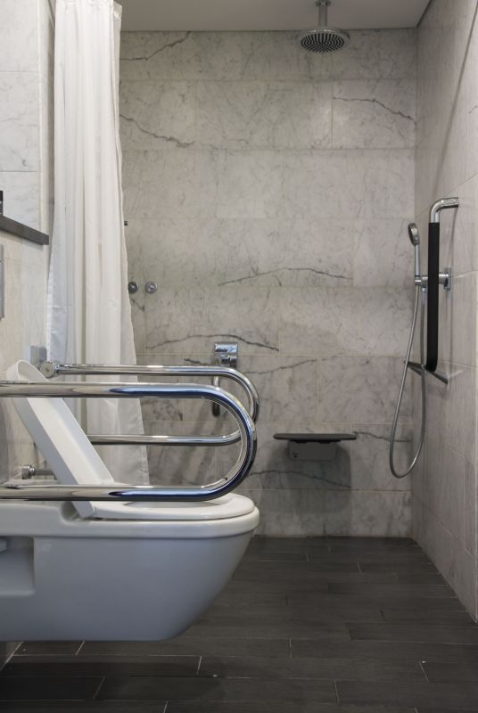 Wall-Mounted Toilet and Bidet